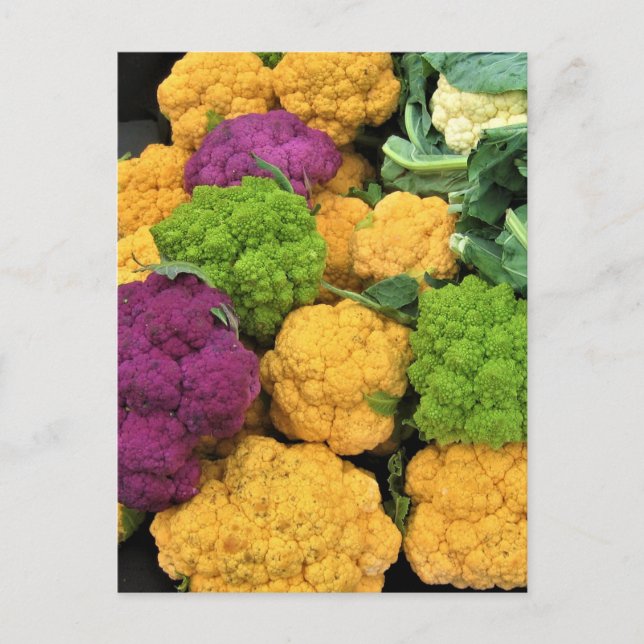 Colourful Cauliflower, Autumn Decor Postcard (Front)