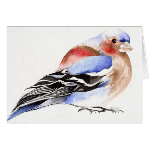 Colourful Chaffinch 2011