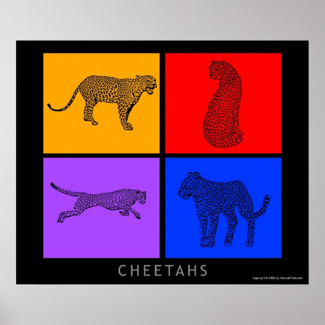 Colourful Cheetah Poster (Front)