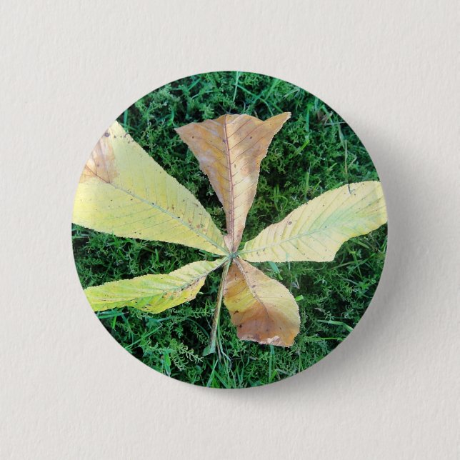 Colourful chestnut tree leaf 2 inch round button (Front)