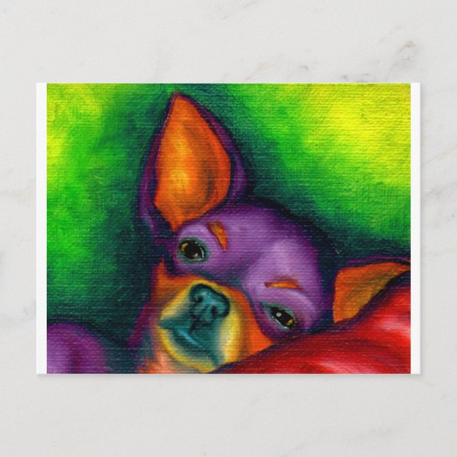 Colourful Chihuahua Postcard (Front)