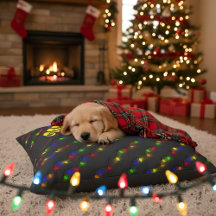 Colourful Christmas Light String