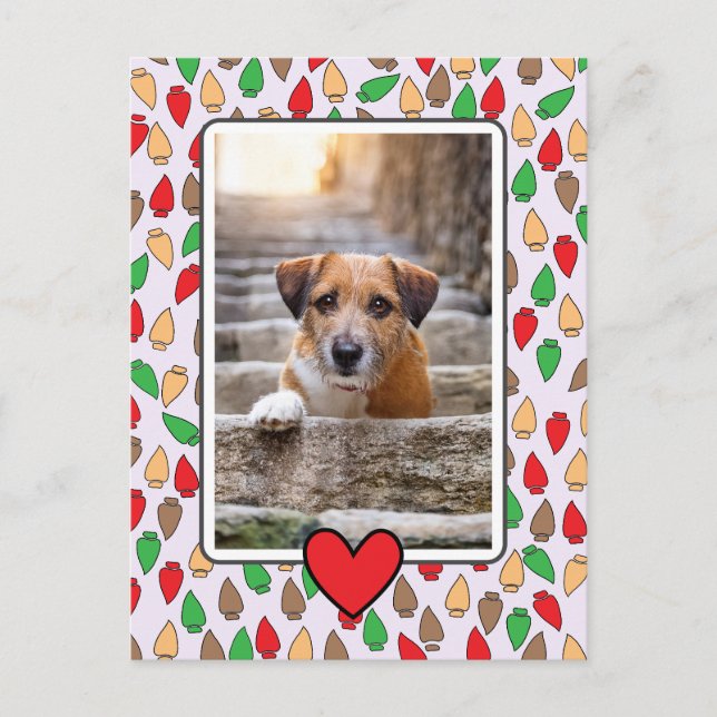 Colourful Christmas Lights Dog Postcard (Front)
