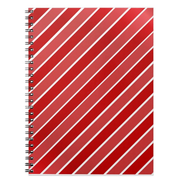 Colourful Christmas Notebook – Festive Winter Desi (Front)