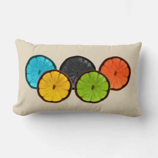 Colourful Citrus Slices Decorative Accent Pillow (Front)