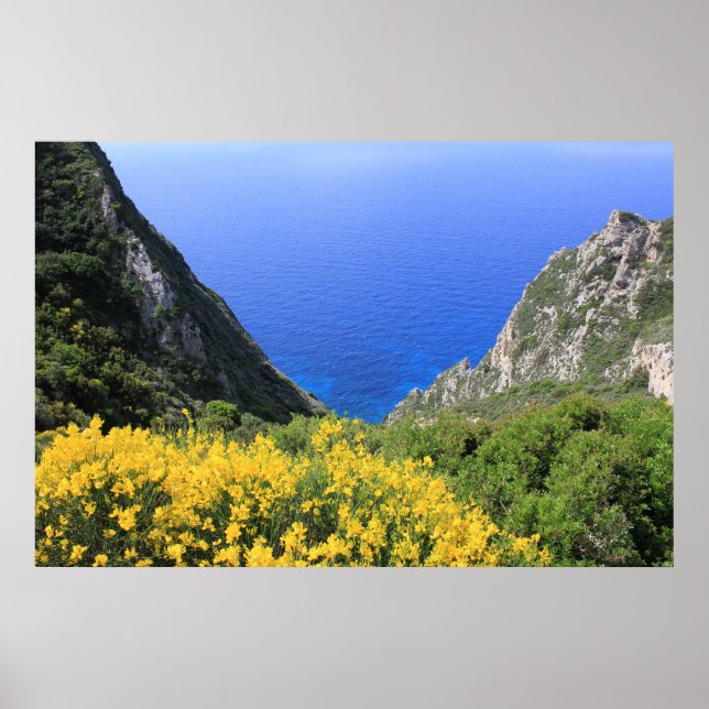 Colourful Coast Poster (Front)