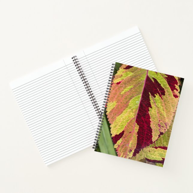 Colourful Coleus Plant Leaf Floral Notebook (Inside)