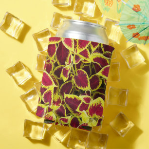 Colourful Coleus Plant Leaves Floral Can Cooler