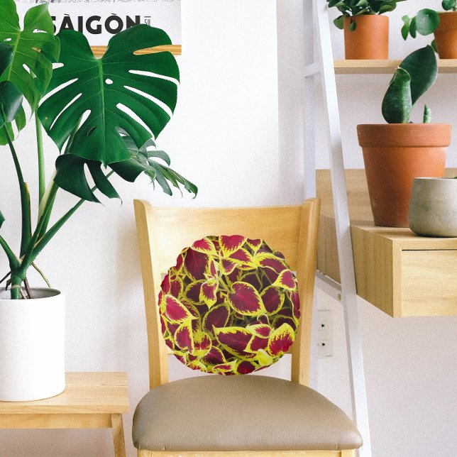 Colourful Coleus Plant Leaves Floral Round Pillow (In Situ Chair)