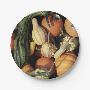 Colourful Collection of Autumn Gourds Paper Plate