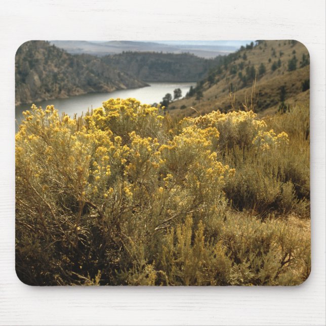 Colourful Colorado Canyon Brush Mousepad (Front)