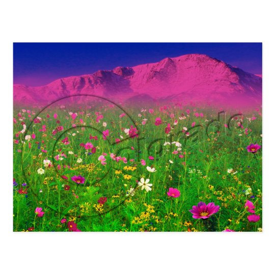 Colourful Colorado, Pikes Peak Mountain Postcard