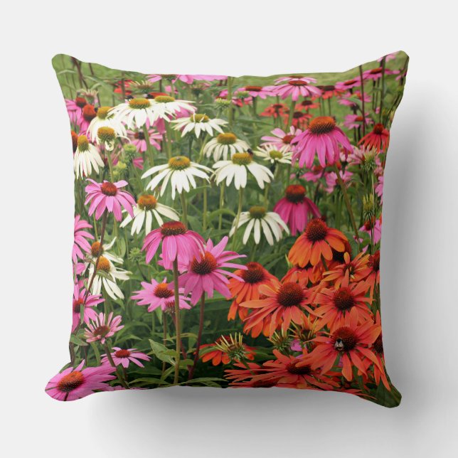 Colourful Coneflowers Throw Pillow (Front)