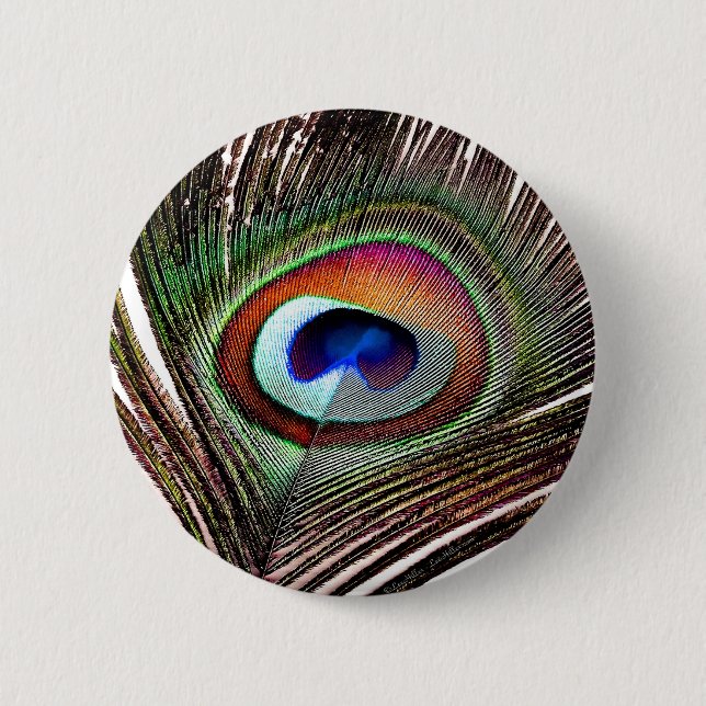 Colourful Copper Peacock Feather 2 Inch Round Button (Front)