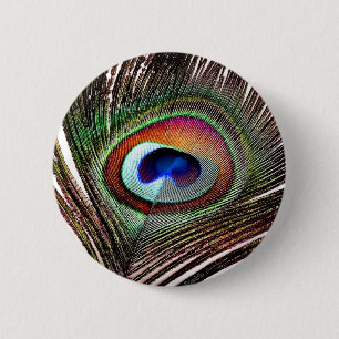 Colourful Copper Peacock Feather 2 Inch Round Button