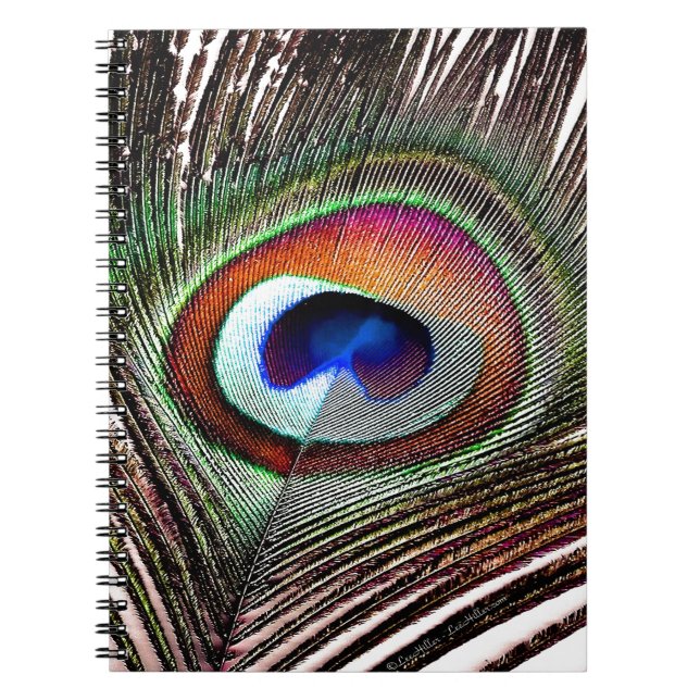 Colourful Copper Peacock Feather Notebook (Front)