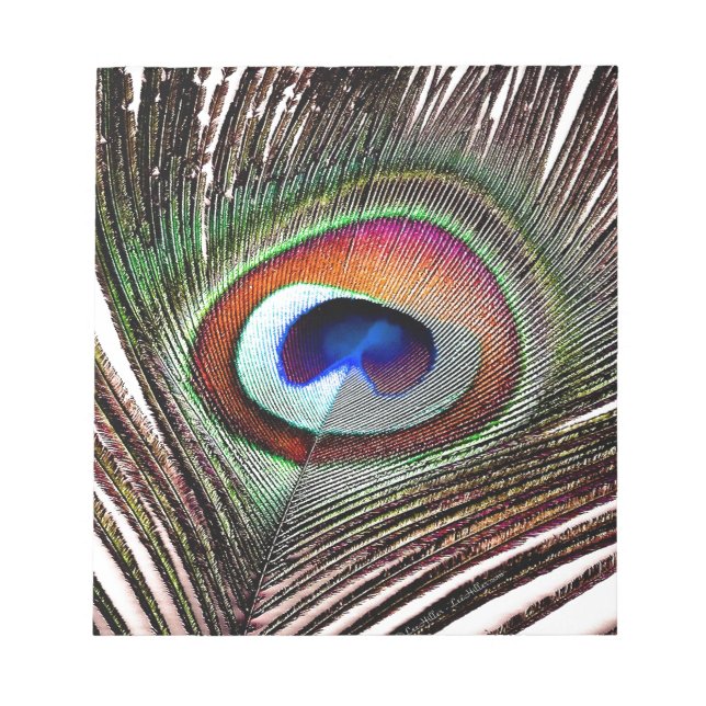 Colourful Copper Peacock Feather Notepad (Front)