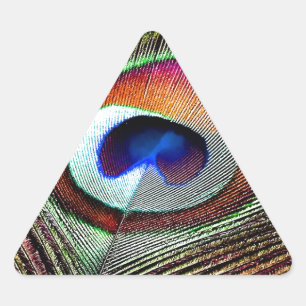 Colourful Copper Peacock Feather Triangle Sticker