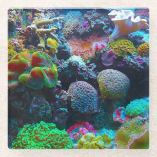 Colourful Coral Glass Coaster