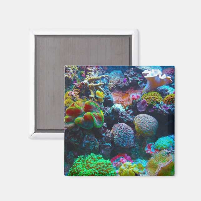 Colourful Coral Magnet (Front/Back)