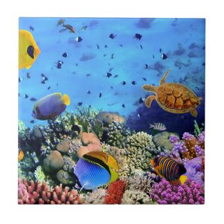 Colourful Coral Reef Critters Tile