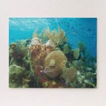 Colourful Coral Reef Jigsaw Puzzle