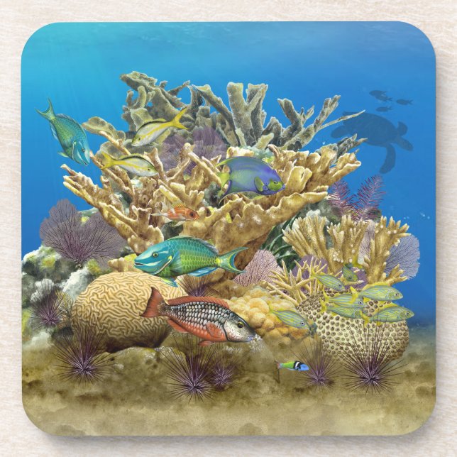 Colourful Coral Reef Scene Coasters (Front)