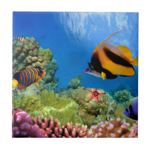 Colourful Coral & Tropical Fish Tile