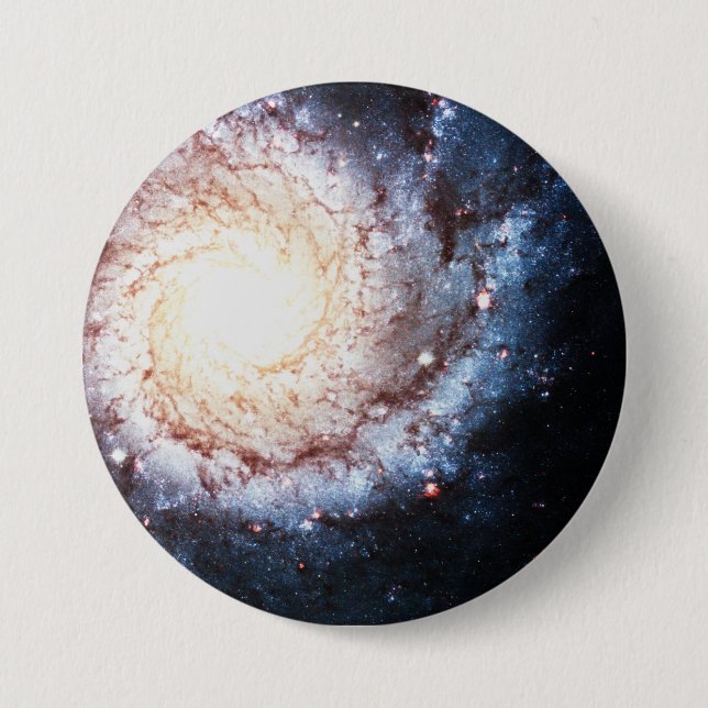 Colourful Cosmos 3 Inch Round Button (Front)