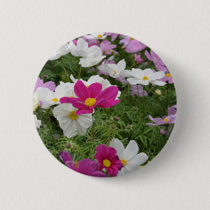 Colourful cosmos flower garden 2 inch round button