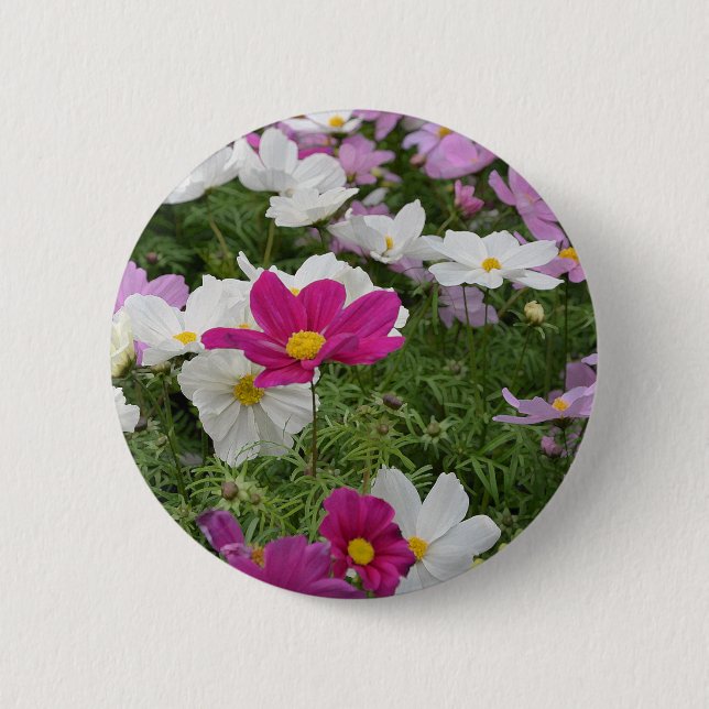 Colourful cosmos flower garden 2 inch round button (Front)