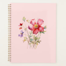 Colourful cosmos flowers
