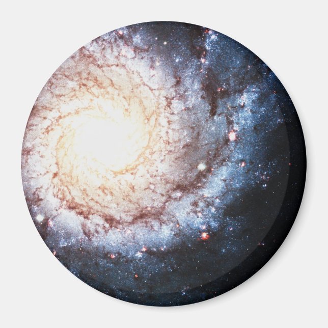 Colourful Cosmos Magnet (Front)
