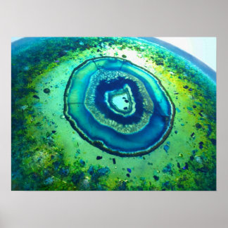 Colourful Cosmos Print #1