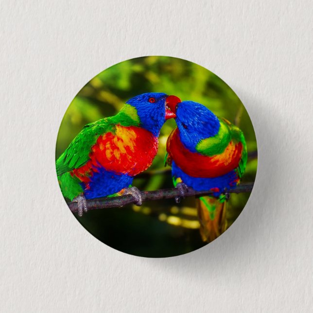 Colourful Couple of Kissing Parrots 1 Inch Round Button (Front)