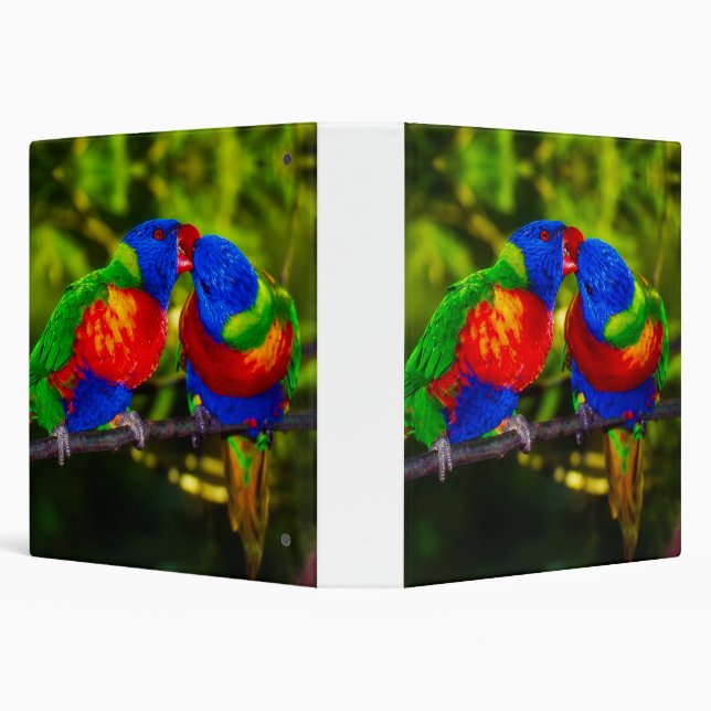 Colourful Couple of Kissing Parrots Binder (Background)