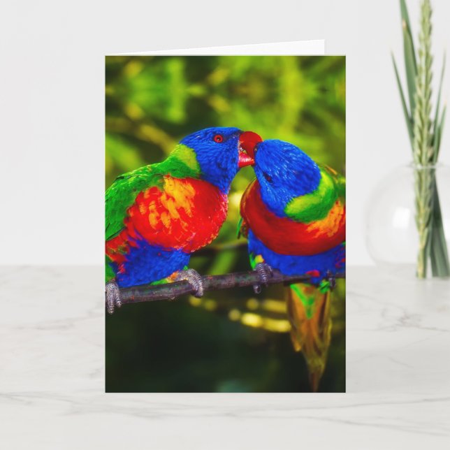 Colourful Couple of Kissing Parrots Card (Front)