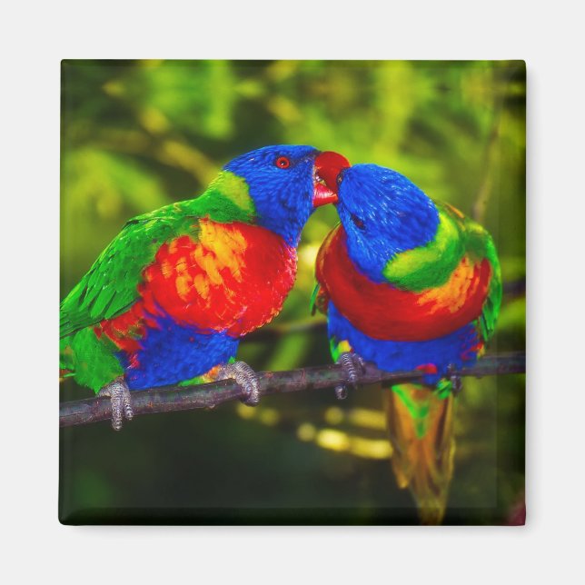 Colourful Couple of Kissing Parrots Magnet (Front)