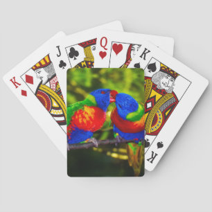 Colourful Couple of Kissing Parrots Playing Cards