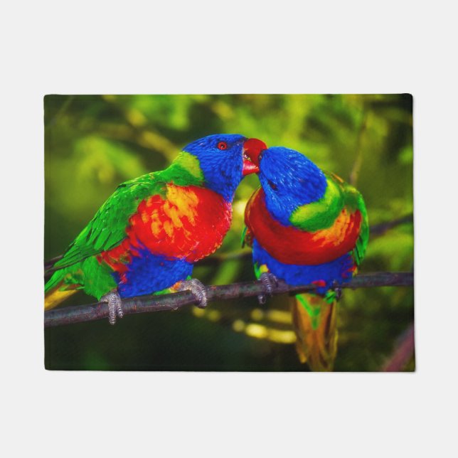 Colourful Couple of Parrots Doormat (Front)