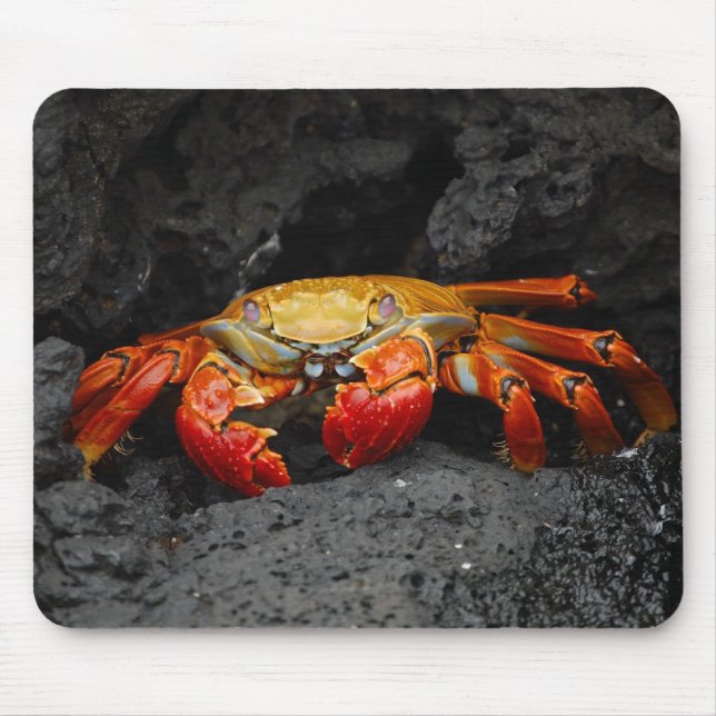 Colourful Crab Mouse Pad (Front)