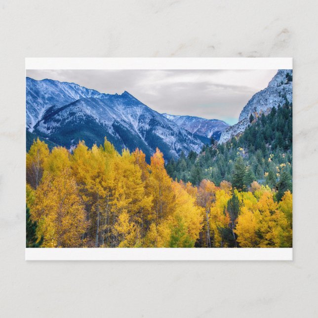 Colourful Crested Butte Colorado Postcard (Front)