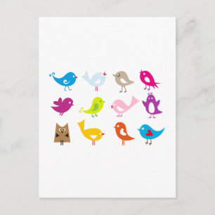 Colourful cute birds postcard