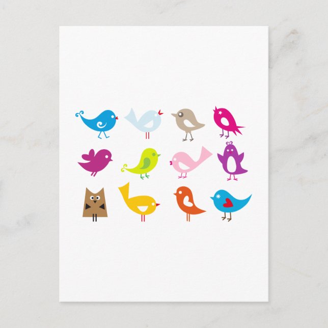 Colourful cute birds postcard (Front)