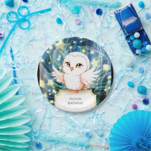 Colourful Cute Owl Birthday Paper Plate (Party)
