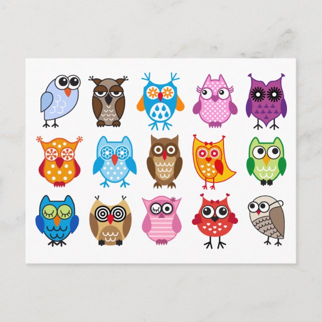 Colourful cute owls postcard (Front)