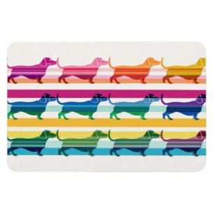 Colourful Dachshund Pattern Retro Stripes Magnet