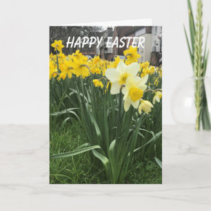 Colourful Daffodils Easter Holiday Card