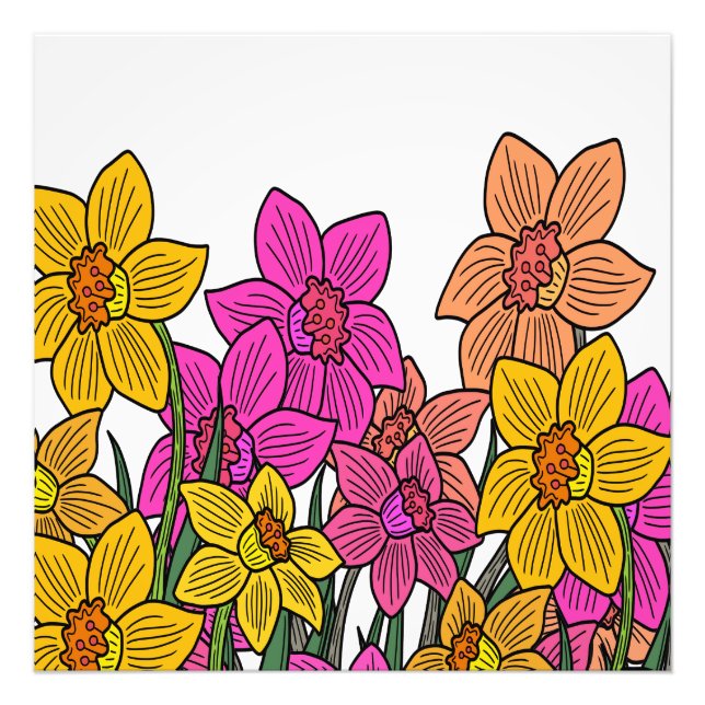 Colourful Daffodils Flowers Design Photo Print (Front)