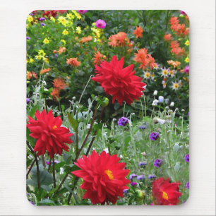 Colourful Dahlia Flower Garden Mousepad